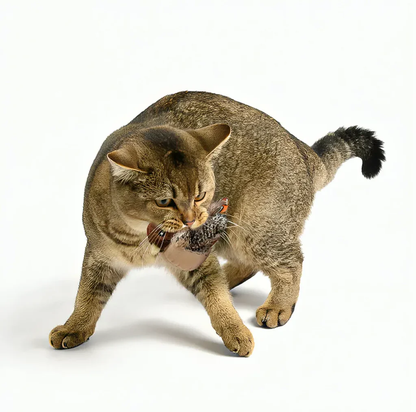 Interactive Simulated Bird Toy for Cats & Dogs – Rechargeable Plush Toy that Chirps and Moves with Touch